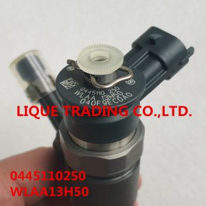 BOSCH Common rail injector 0445110250 , 0 445 110 250 , WLAA-13H50 , WLAA13H50 ,