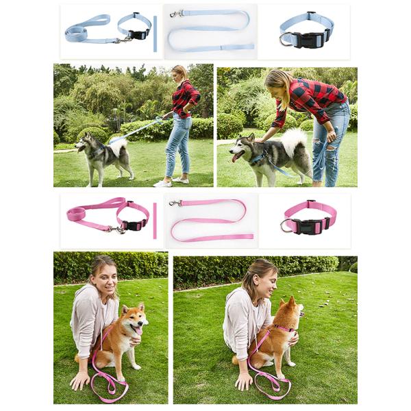Dog Collar Luxury Gradient Adjustable Reversible Solid Custom Logo Designer Personalized