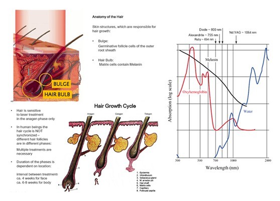 Multi Functional 4 Handpieces 808nm Diode Laser Machine Oem Odm