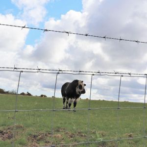 2.0MM High Tensile Wire Durable Cattle Fencing Weather Resistant