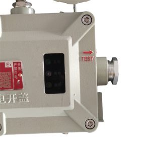 Explosion Proof Emergency Light – Wall & Ceiling Mounted | ATEX/IECEx Certified