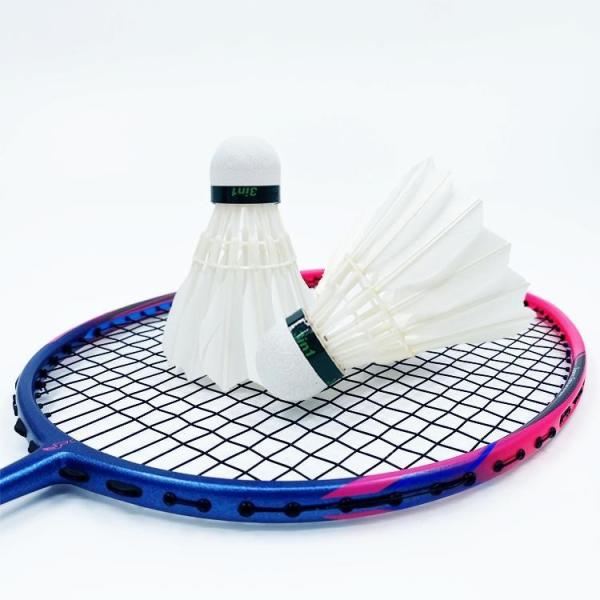 Dmantis D7 Wholesale Professional Level Good Quality Badminton Racket Chinese