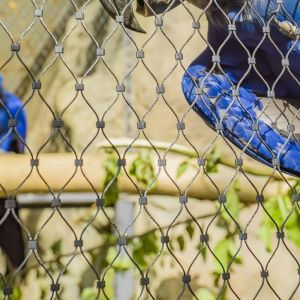 2.5 Meters Height Stainless Steel Wire Rope Mesh Fencing For Zoo Exterior