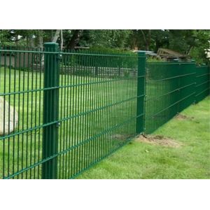 Twin Wire Mesh Fence