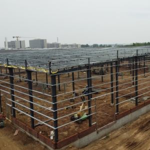 Prefab Steel Structure Warehouse with H-Section Beams and PPGI Cladding