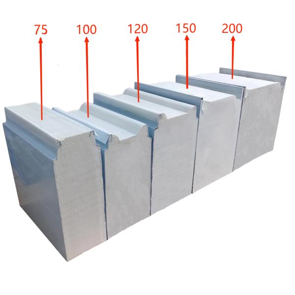 Customizable Length Steel Structures PU/PIR Insulation Material Cold Room Panels with Drive By Gear and High Efficienc