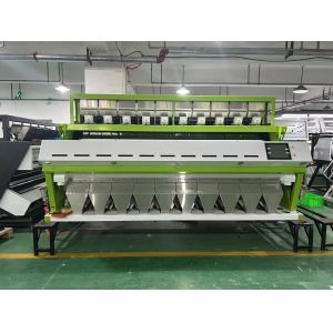 Wenyao Red Lentils Green Yellow Colored Peeled Split Lentils Lentils Sorting