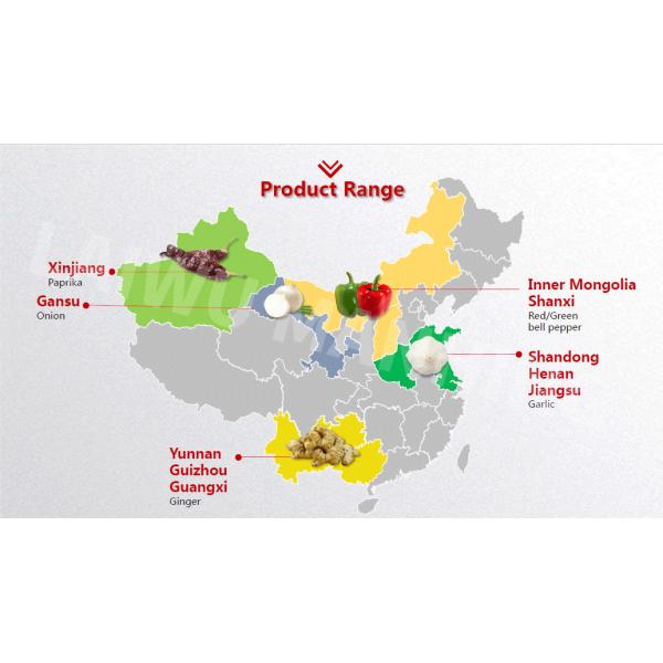 8.0 Moisture Dehydrated Garlic Powder 120mesh 80mesh 100mesh