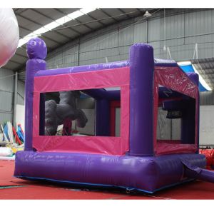 5 to 7 Years Old Get This Customized Size Inflatable Air Bouncer Mini Bounce