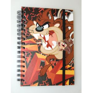 PLASTIC LENTICULAR Promotional pp pet 3d lenticular notebook/dairy notebook