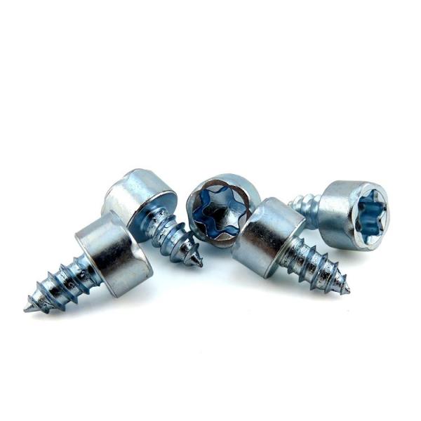 Quality Metric Measurement System SS304 316 Torx Hex Socket Self Tapping Screw for sale