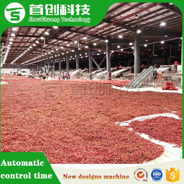 Hot Pepper Drying Processing Line Automatic Chili Dryer Machine For Vegetable Fruit