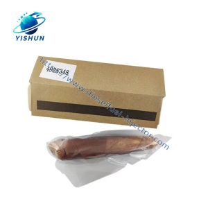 Common Rail Injector Fuel Injector 4326779 4928346 4928349 For Excavator QSK23