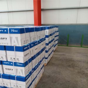 45% Surface Gloss A4 Jumbo Paper Roll Customizable with Acceptable Custom Order