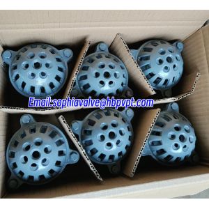 GG20 BS21 cast iron resilient seal foot valve