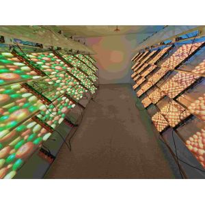 Wholesale P10 Ultra Thin Transparent LED Screen for Creative Architectural Design Format Video Wall Display from china suppliers