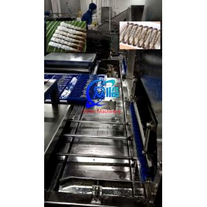 Automatic Tempura Shrimp Stretching Machine, NOBASHI Machine, Shrimp Stretcher