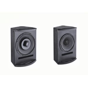 Coaxial Professional Karaoke Equipment 2 Way Indoor Audio Pa System