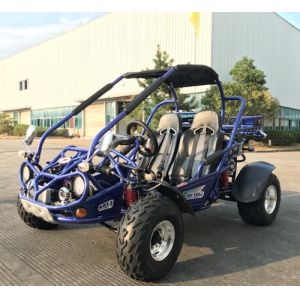 6500rpm 300cc Riverbed EFI Fuel Injected Go Kart Buggy