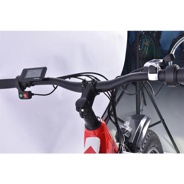 Multiapplication Fat Tire Electric Mountain Bike With 13AH Lithium Battery