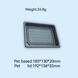 Degradable PET Sushi Packaging Box Disposable Sushi Rectangular Takeaway