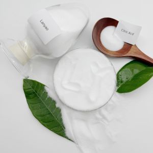 Wholesale Lead 5 Ppm Max Anhydride Powder Citric Acid for Products and Low Iron Content from china suppliers