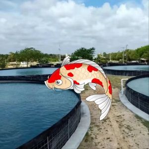 Smooth Surface HDPE Geomembrane Liners for Aquaculture Pond Chemical and UV