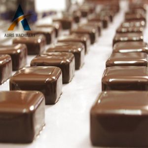 15kg 30kg 60kg Chocolate Making Machine Coating Covering Machine For Waffer