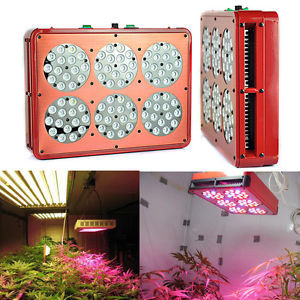 Wholesale hot selling LED grow light 210watt LED grow 3 years warranty Grow Lighting with full spect from china suppliers