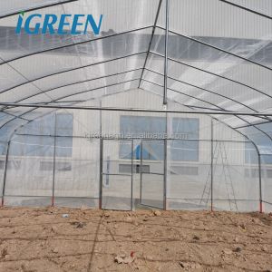 Small Scale Farming Single Span Greenhouse Customize Plastic Film Greenhouse