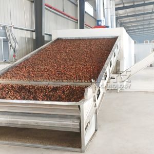 Wholesale Large Output Continous Belt Dryer Pecan Walnut Drying Cabinet from china suppliers