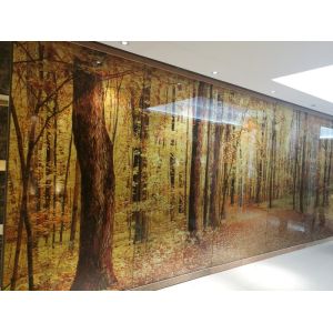 Screen Partition Ultra Clear 12mm Decorative Fused Glass