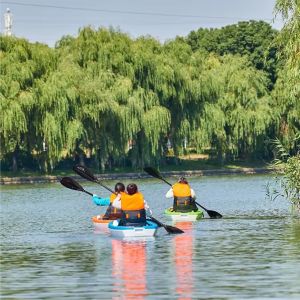 Wholesale cheap single sit on top HDPE blow molded plastic fishing kayak with