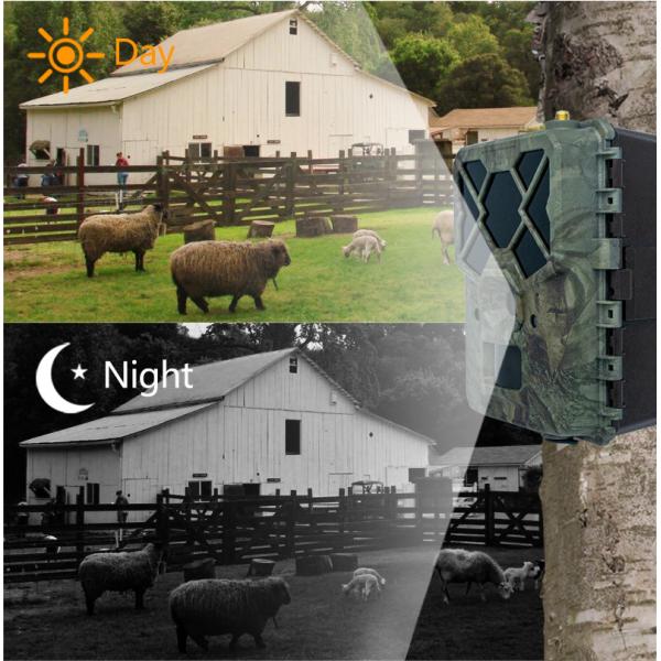 Experience Unmatched Performance with 4G Trail Camera The Perfect Solution for Wildlife Monitoring