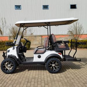 2+2 Seat Classic White Electric Golf Cart Lithium Battery Off-Road Model Support