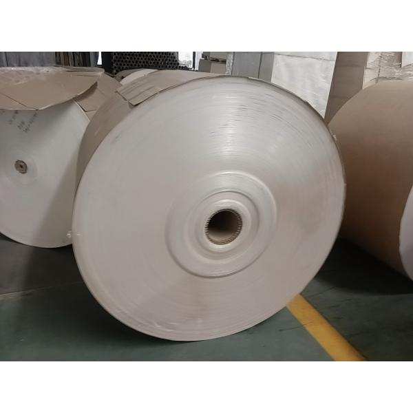 White/Brown Wood Pulp PE Coated Kraft Paper Single/Double Side Heat Resistant up