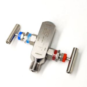 Integrated Stainless Steel Two Valve Group Instrument Pressure Gauge Valve
