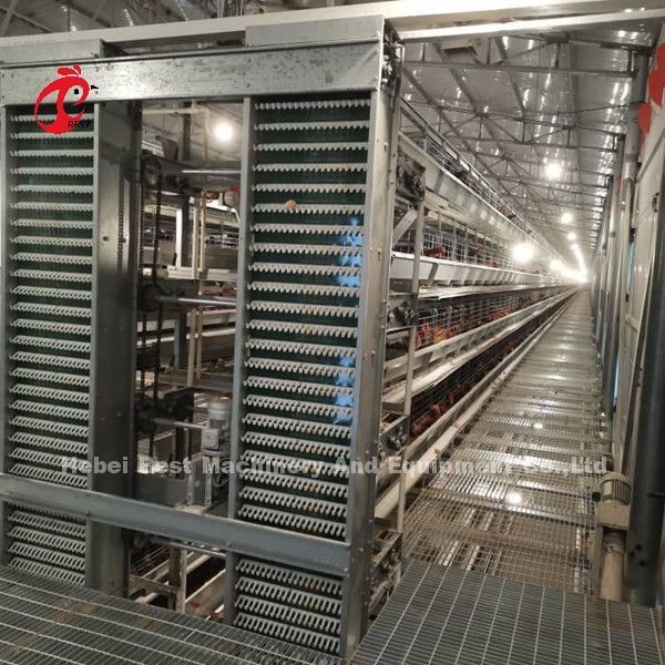 Customized Automatic Egg Collection Feeding Hopper System For 30,000 Chicken