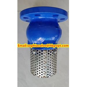 2024 hot sale flanged foot valve material GGG40