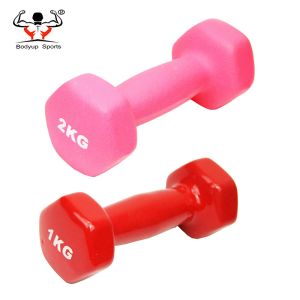 Vinyl Dipping Fitness Equipment Dumbbells With Hexagon Ends 0.5kg-10kg Weight