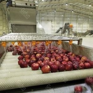 Apple Processing Line For Machinery And Comprehensive Engineering