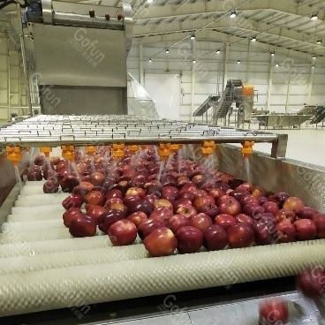 Quality Apple Processing Line For  Machinery And Comprehensive Engineering for sale