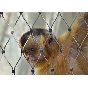 Zoo Safety Wire Net Stainless Steel Rope Net Mesh Flexible Metal Bird Net