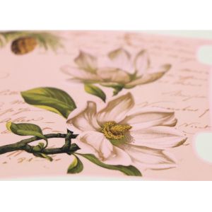 CTS Automatic Screen Exposing Machine 25-45mm LDI Equipment