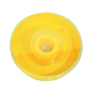 Dia 200mm Apiculture Tools Height 50mm Plastic Hive Top Feeder