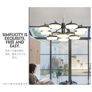 Modern monochrome energy-saving light source acrylic simple chandelier