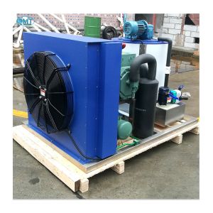 480 KG Flake Ice Making Machine 2 Ton Capacity 1000 KG Ice Storage for