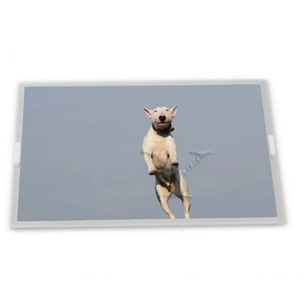 Quality LM238WR2-SLC1 23.8 TFT LCD Display Modules supplier lcd panel supplier lcd panel orginal highly adaptive for sale