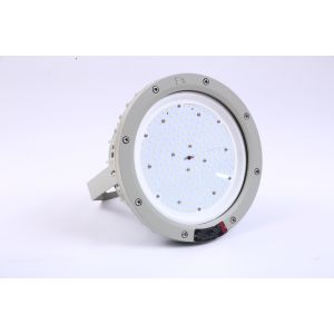100w LED High Bay Explosion Proof Light ATEX IP66 Explosion-proof Light WF2