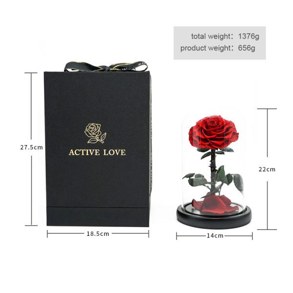Long Lasting red Preserved Rose Glass Dome in Valentine's Day
